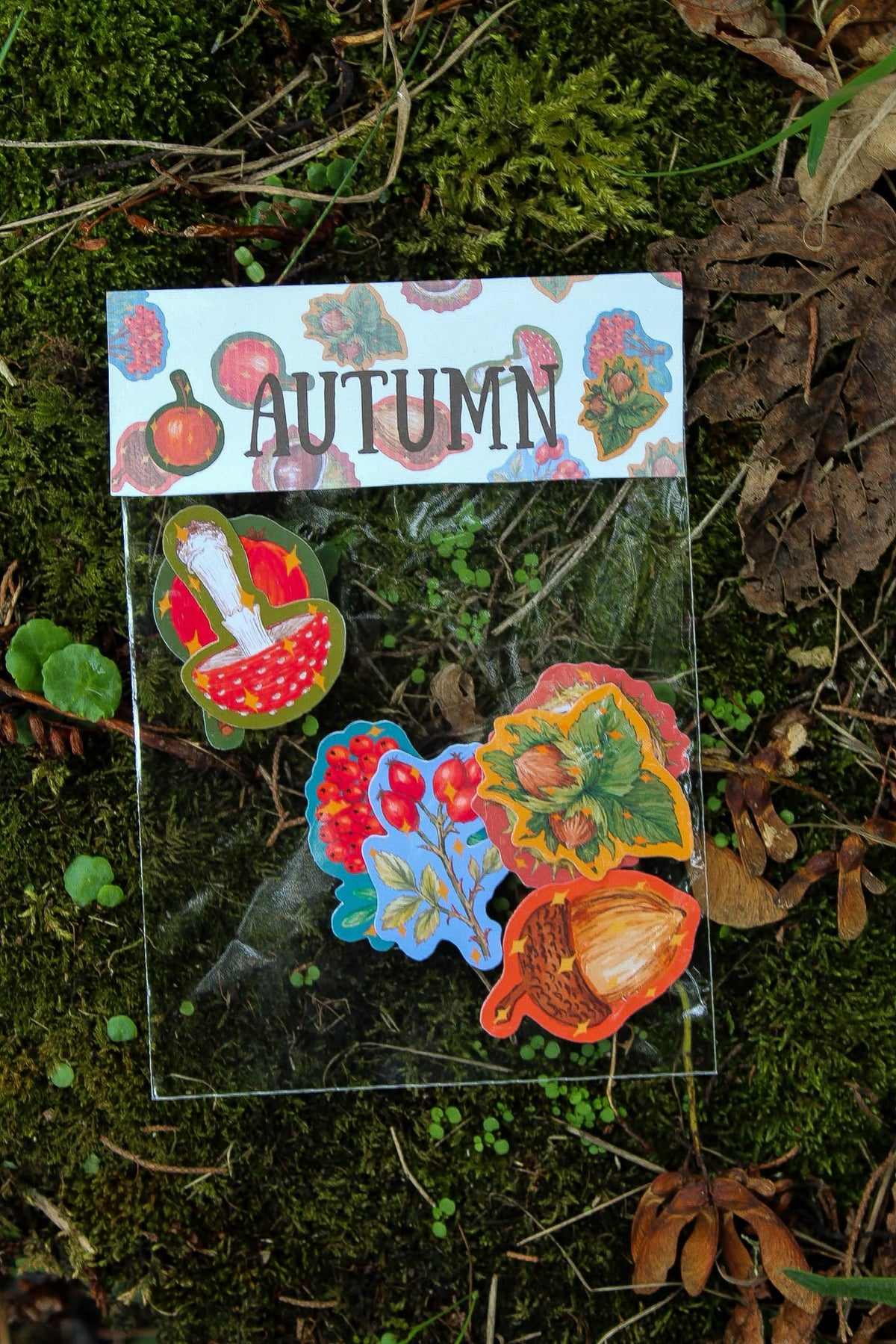 Colourful autumn sticker pack