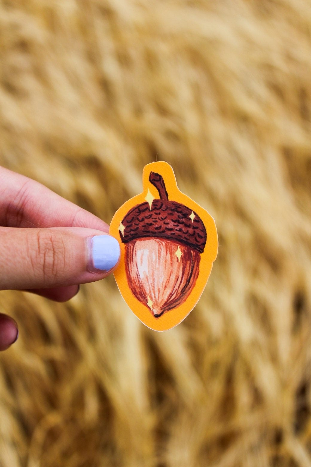 Lucky acorn sticker