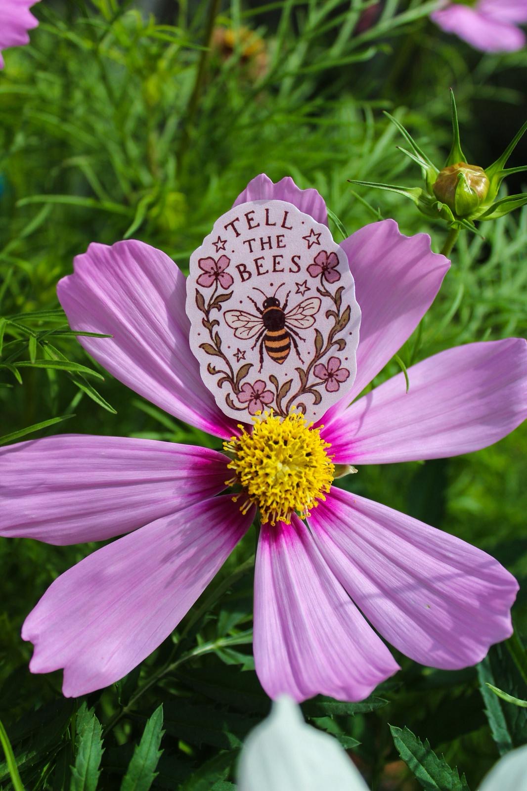 (Past edition) June edition of The Folkletter