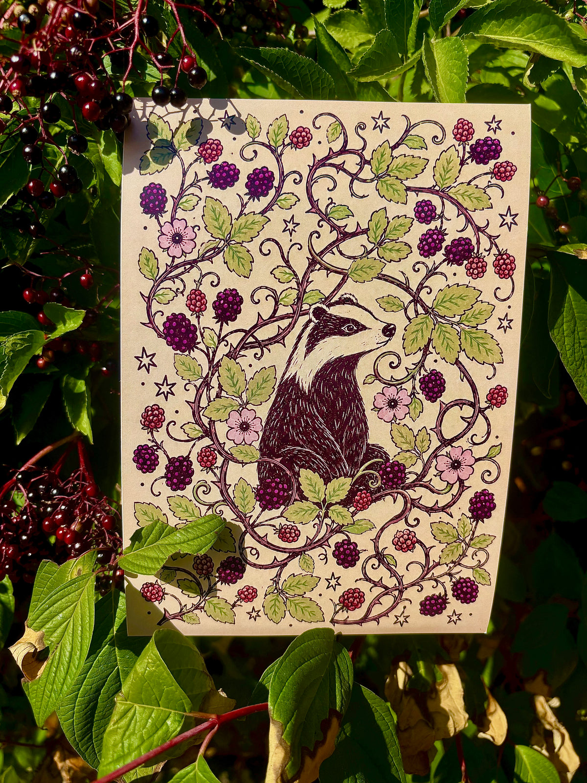 Badger in brambles print