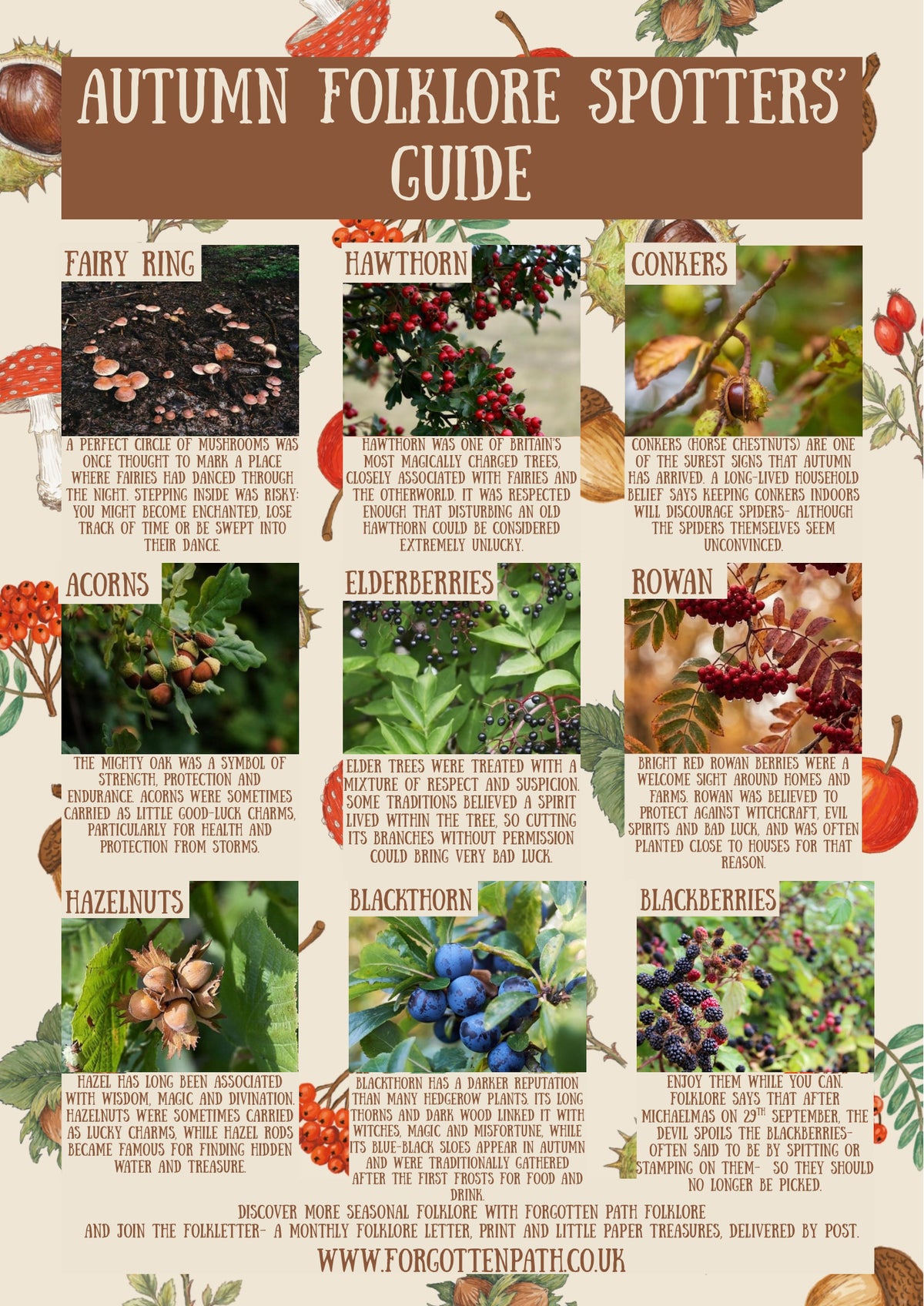 Cover of the Autumn folklore spotters guide