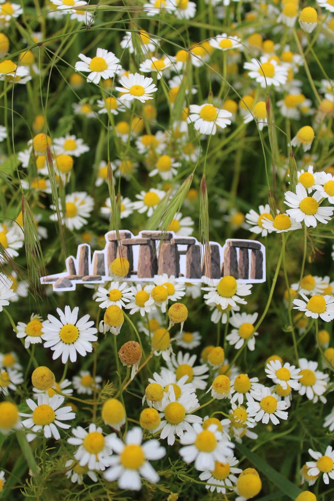 (Past edition) June edition of The Folkletter