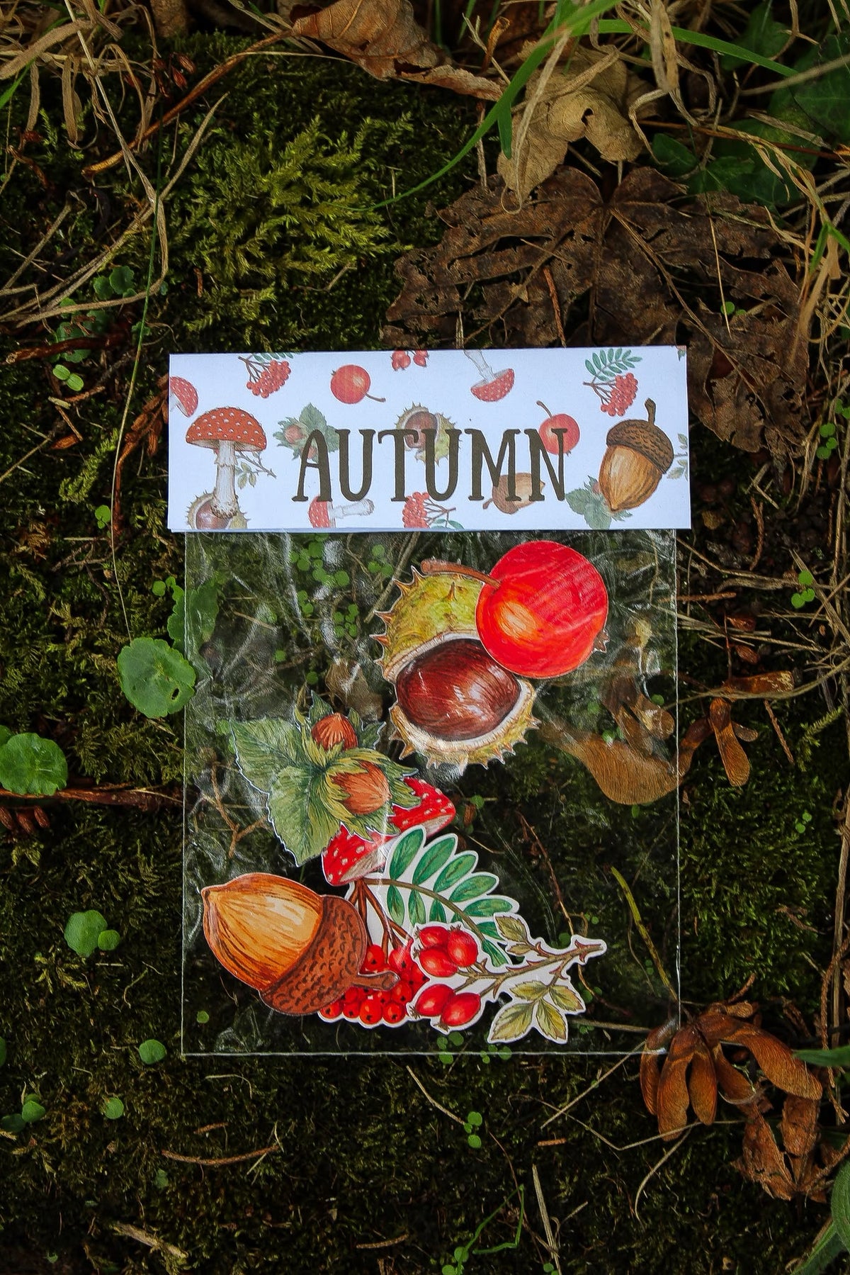 Autumn sticker pack