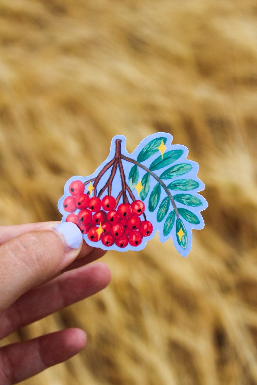 Rowan berries sticker